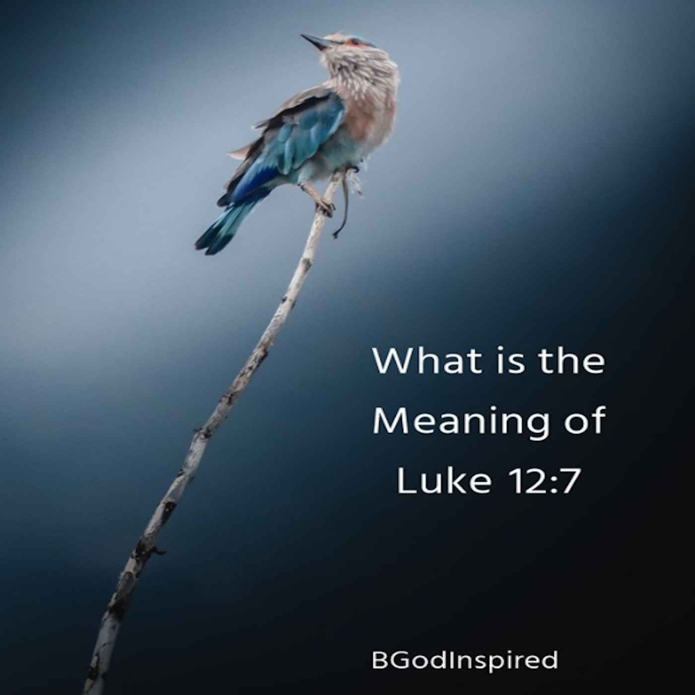 Picture of Luke 12