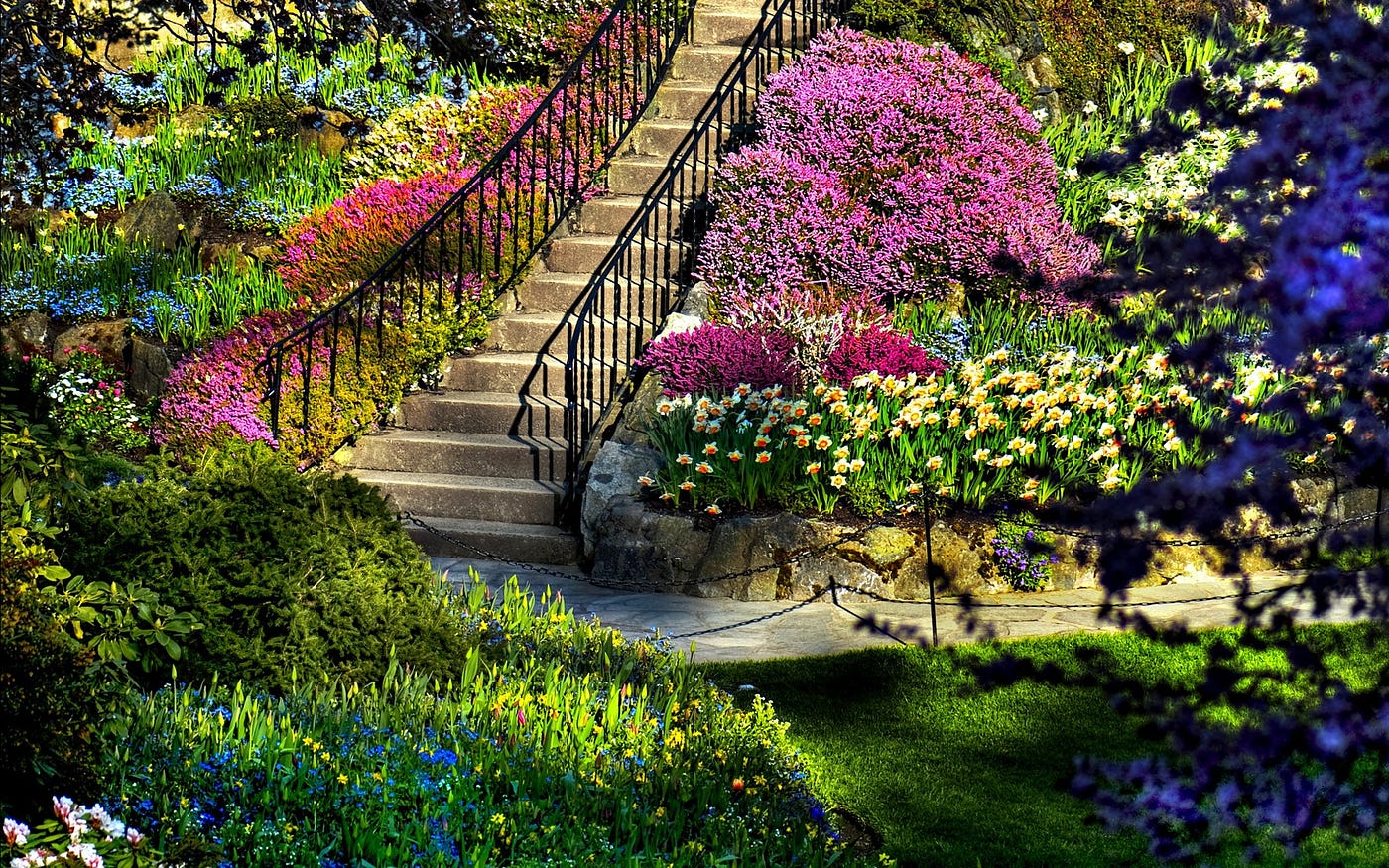Nature