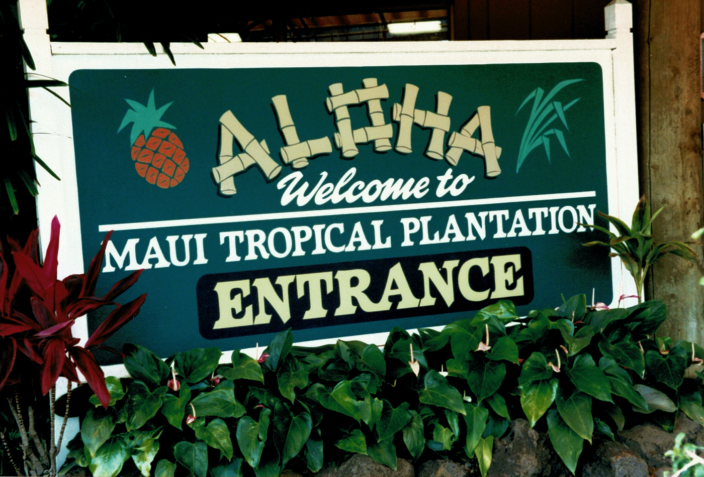 Maui’s Tropical Wonders