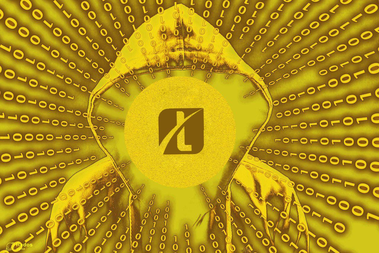 THE TRIDENT CRYPTO INDEX FUND. Overview of the Crypto Index | by Trident  Crypto Index Fund | Medium