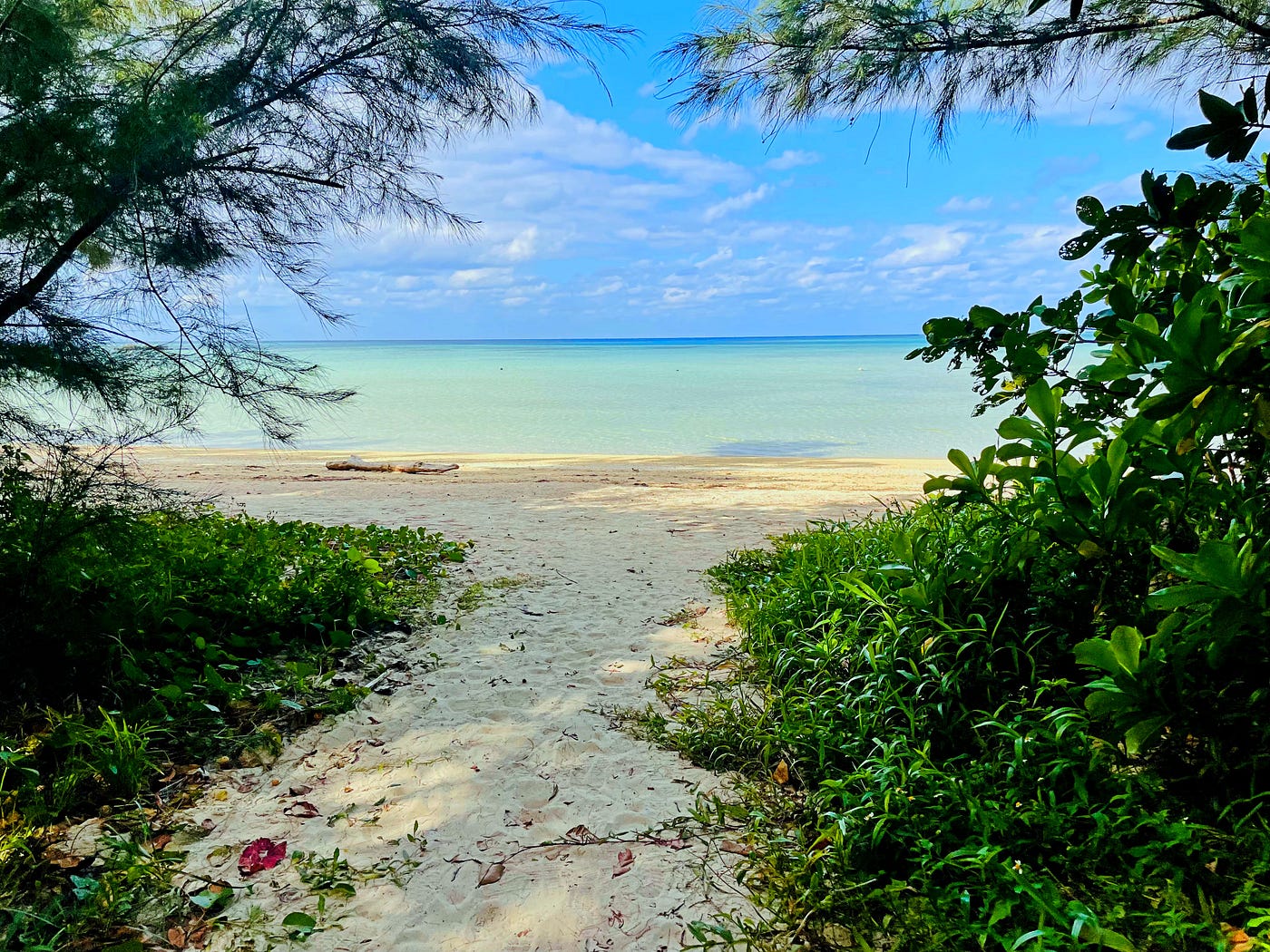 I Found Japan’s Tropical Paradise — Then My Phone Sent Me a Missile Alert