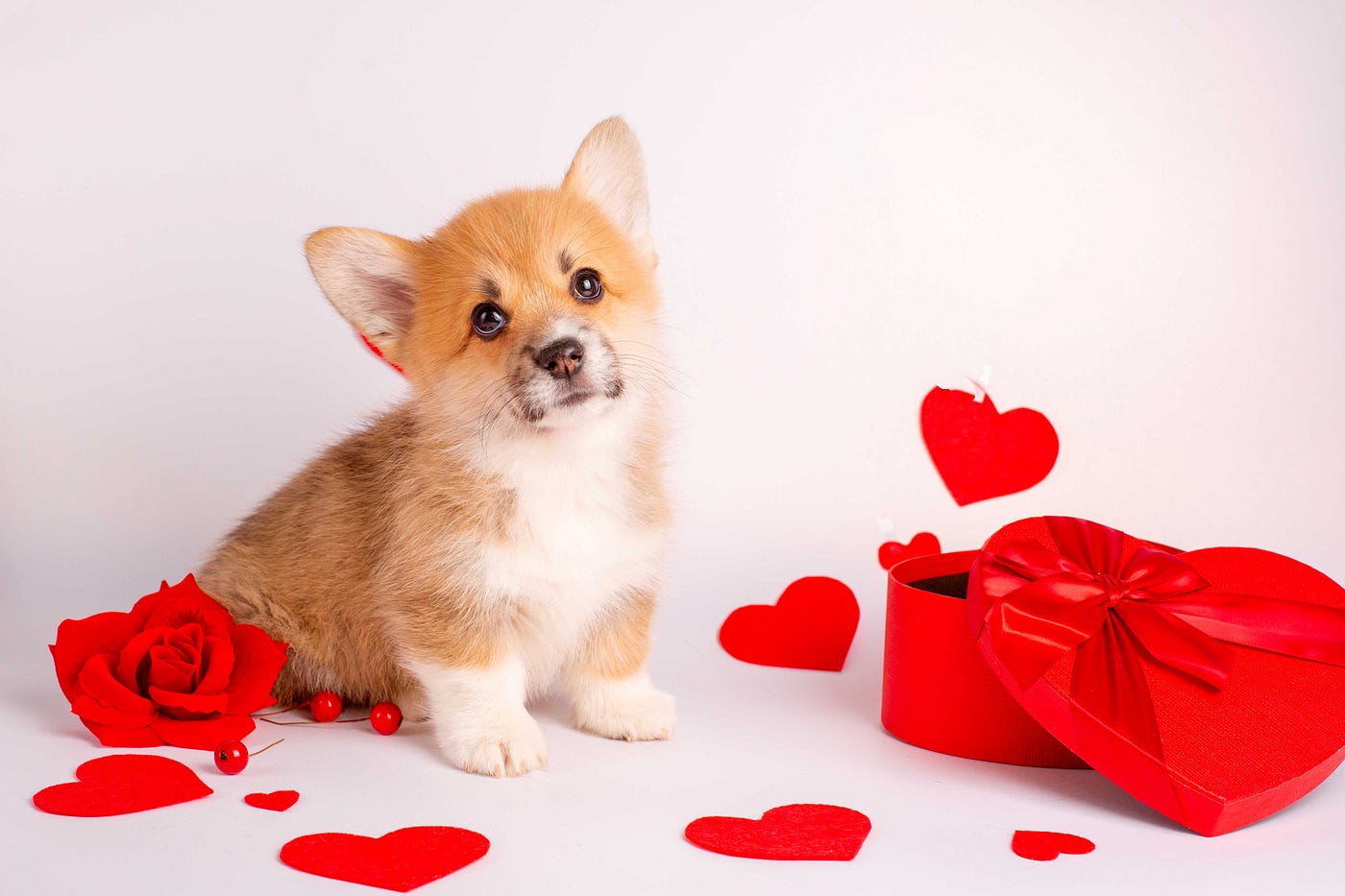 Another Year Being Single Happy Valentines Day