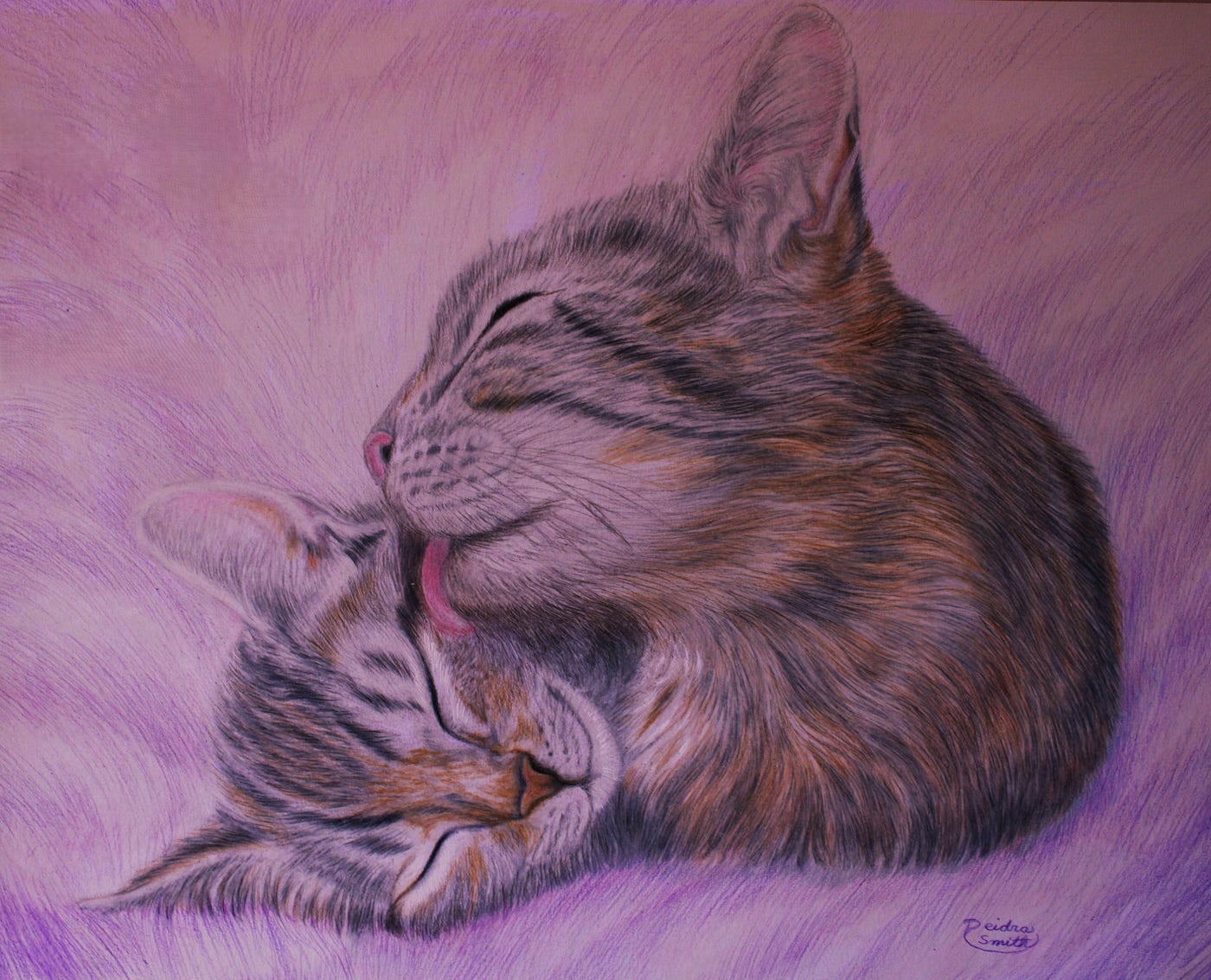 The Kitten Who Changed My Life — artwork courtesy of the artist author