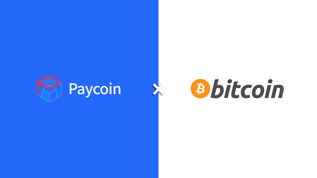 페이코인 신규 서비스 오픈, 비트코인(BTC) 결제, 그리고 새로워진 페이코인 쇼핑! | by Paycoin (PCI) |  Paycoin Blog | Medium
