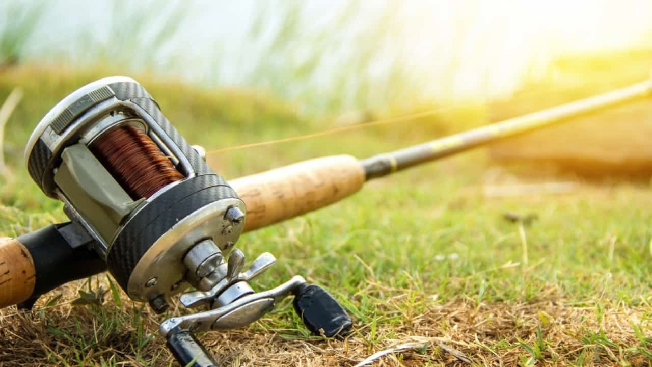 Spinning Rods vs. Casting Rods: Understanding the Differences