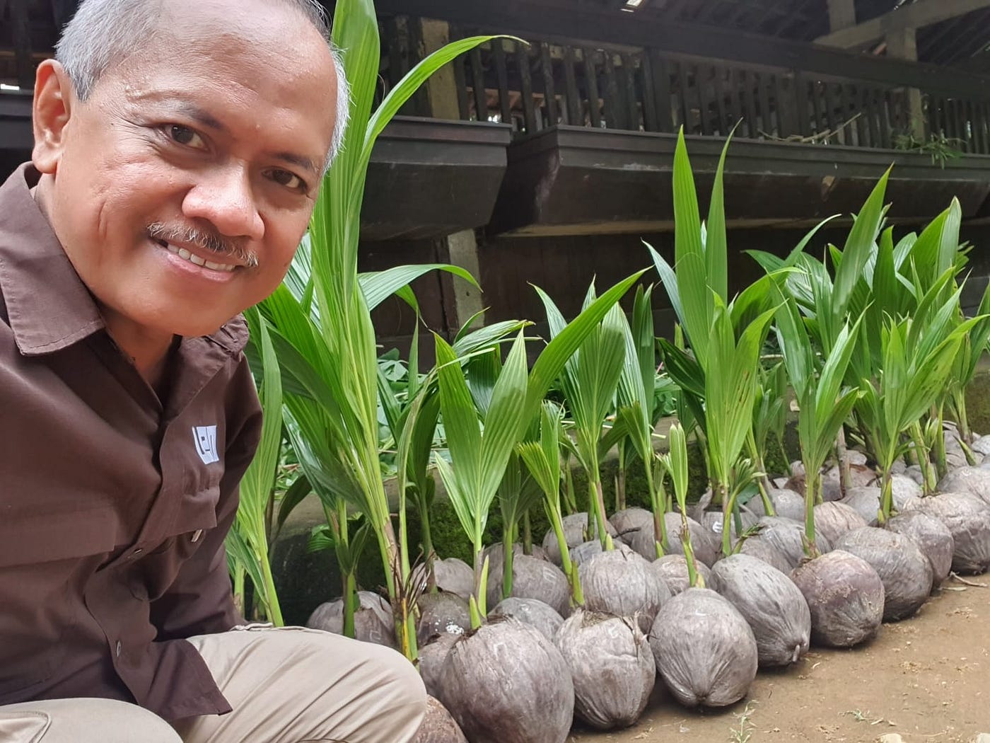 Saving Indonesia’s Coconut Sugar Legacy: UMY Plants the Seeds for a Safer, Sustainable Future