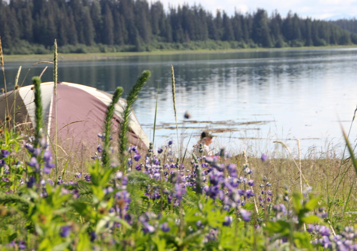 Kayaking in the Beardslee Islands, Glacier Bay, Alaska — Part II