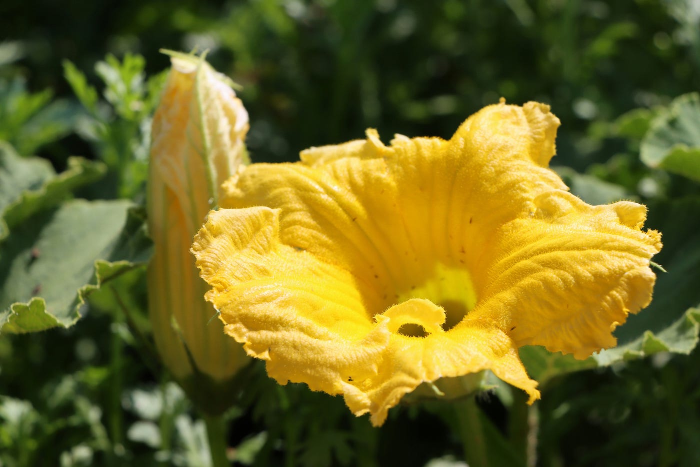 Le jardinage en trois temps — La prévention