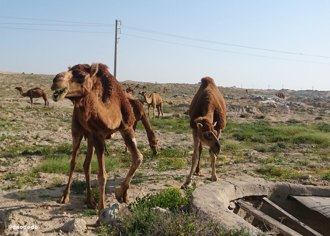Day 49: Queshm Island (0) — between a shower, a shop and our passeports
