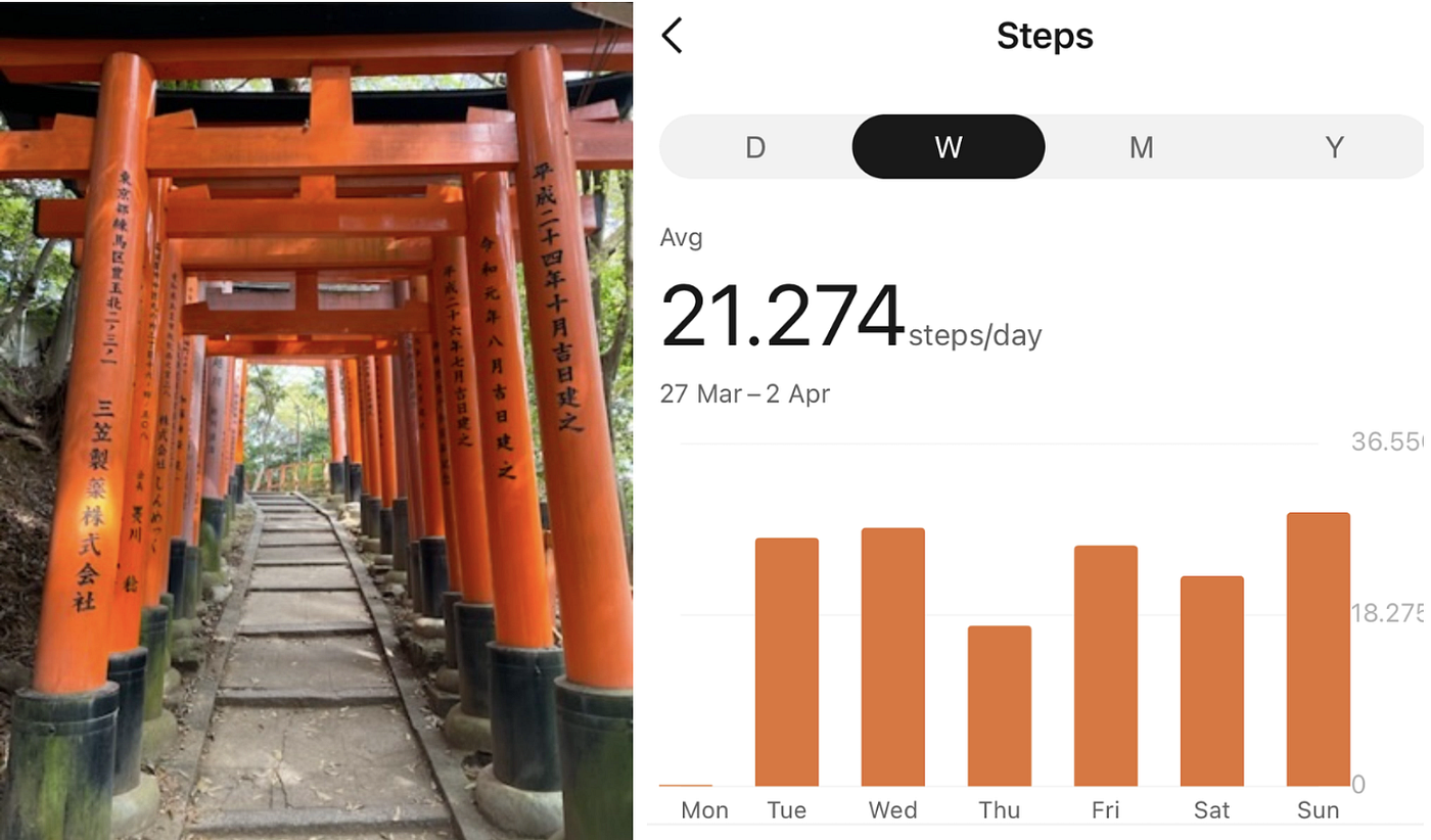 왼쪽(일본에서 찍은 사진). 오른쪽(일본에 온 첫 주 동안의 걸음 수). 3년 동안 매일 15,000걸음 이상 걸으면 어떻게 될까요?