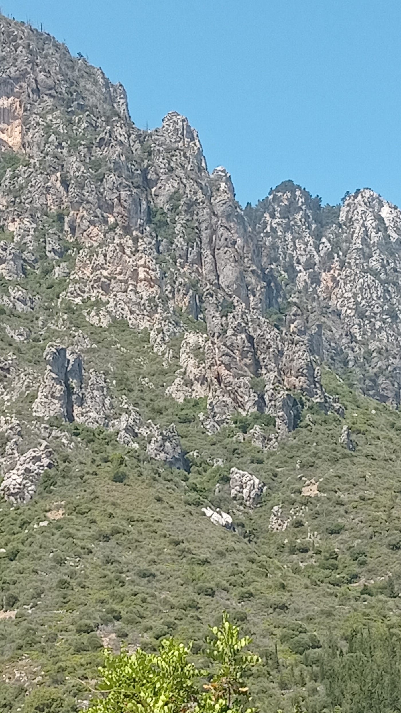 The Kyrenia range above the village of Karmi. The vertical splits in the mountains are caused by the erosion of softer rock that will eventually fracture and separate from the main mountain (Photo by author)