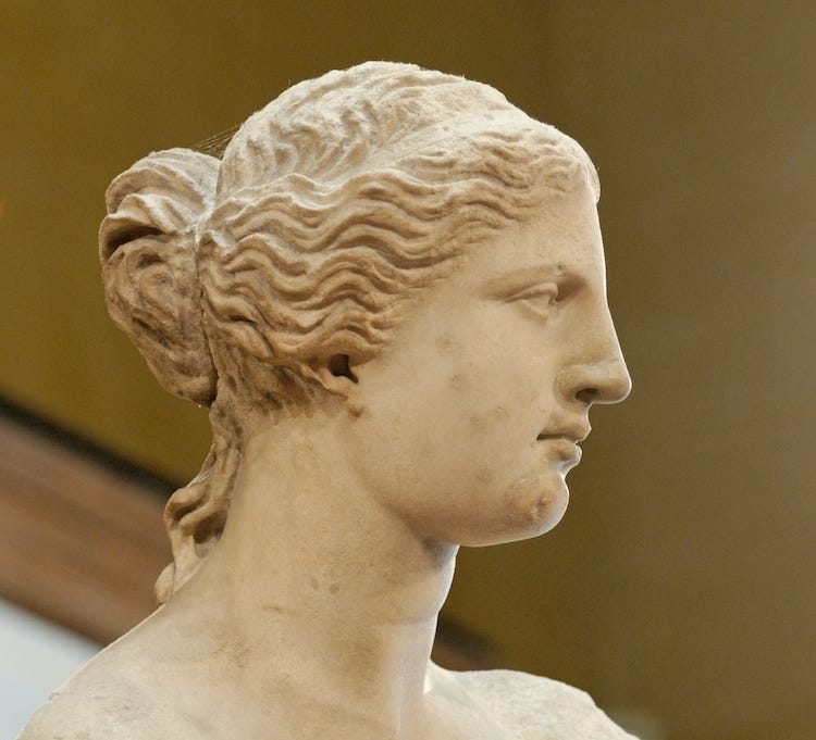 What's So Special About the Venus De Milo?, by Christopher P Jones