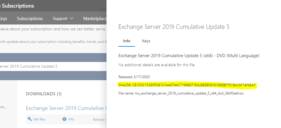 Upgrading outdated Exchange to the latest CU at the safest way | by Tzahi  Kolber | Medium