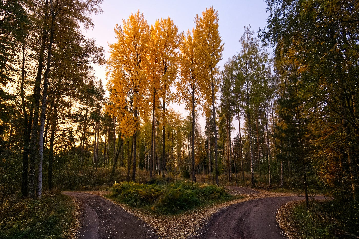 Photo by Henry Schneider on Unsplash