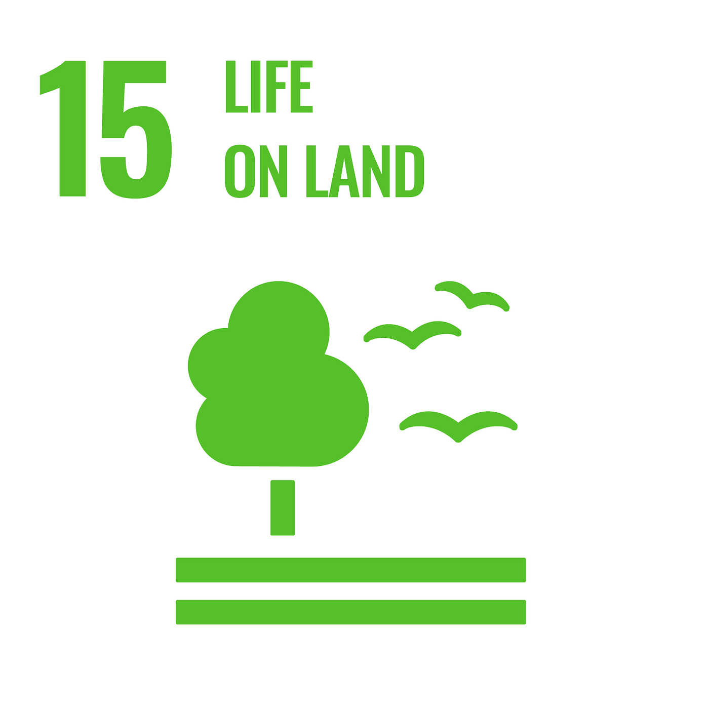 SDG15陸域生命(圖片來源:聯合國 SDGs Communications materials)