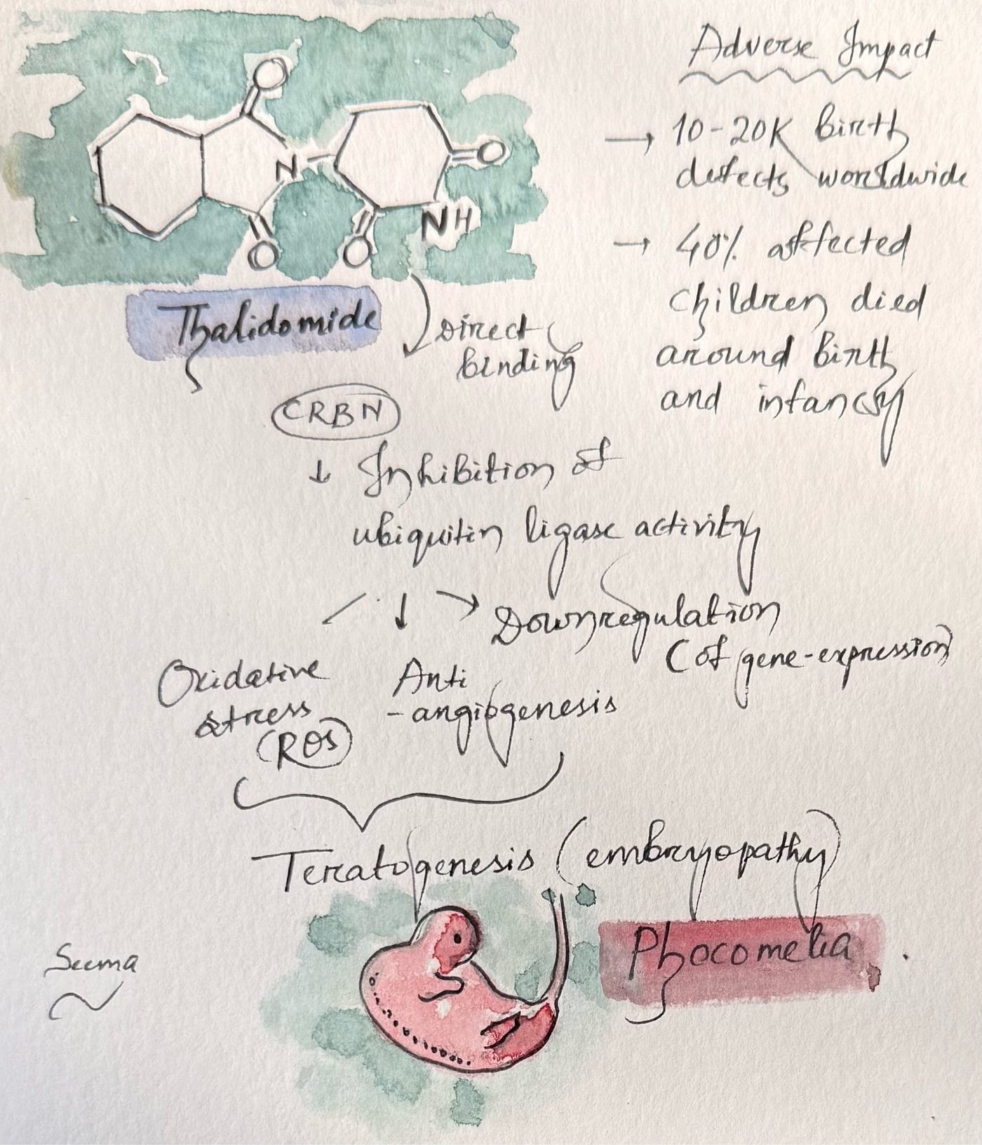 Thalidomide @Seema
