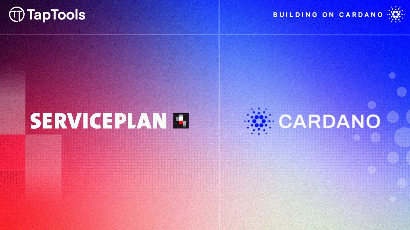 Does Cardano Need Paid Marketing?