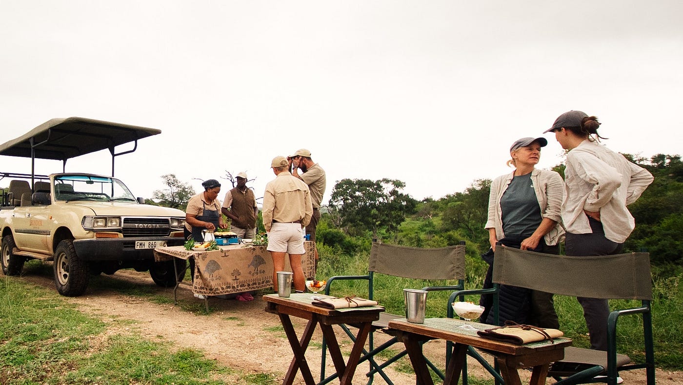 Planning a South Africa Safari? Why Greater Kruger Works Best When the Whole Journey Is Managed