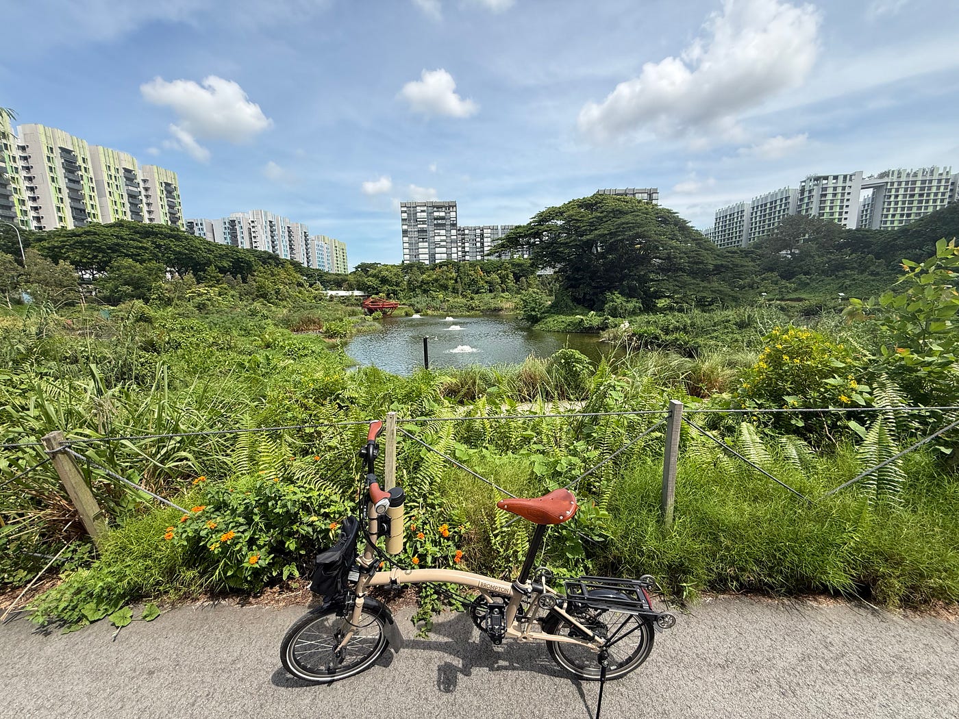 Pedal and Plume Trip to Bidadari Park
