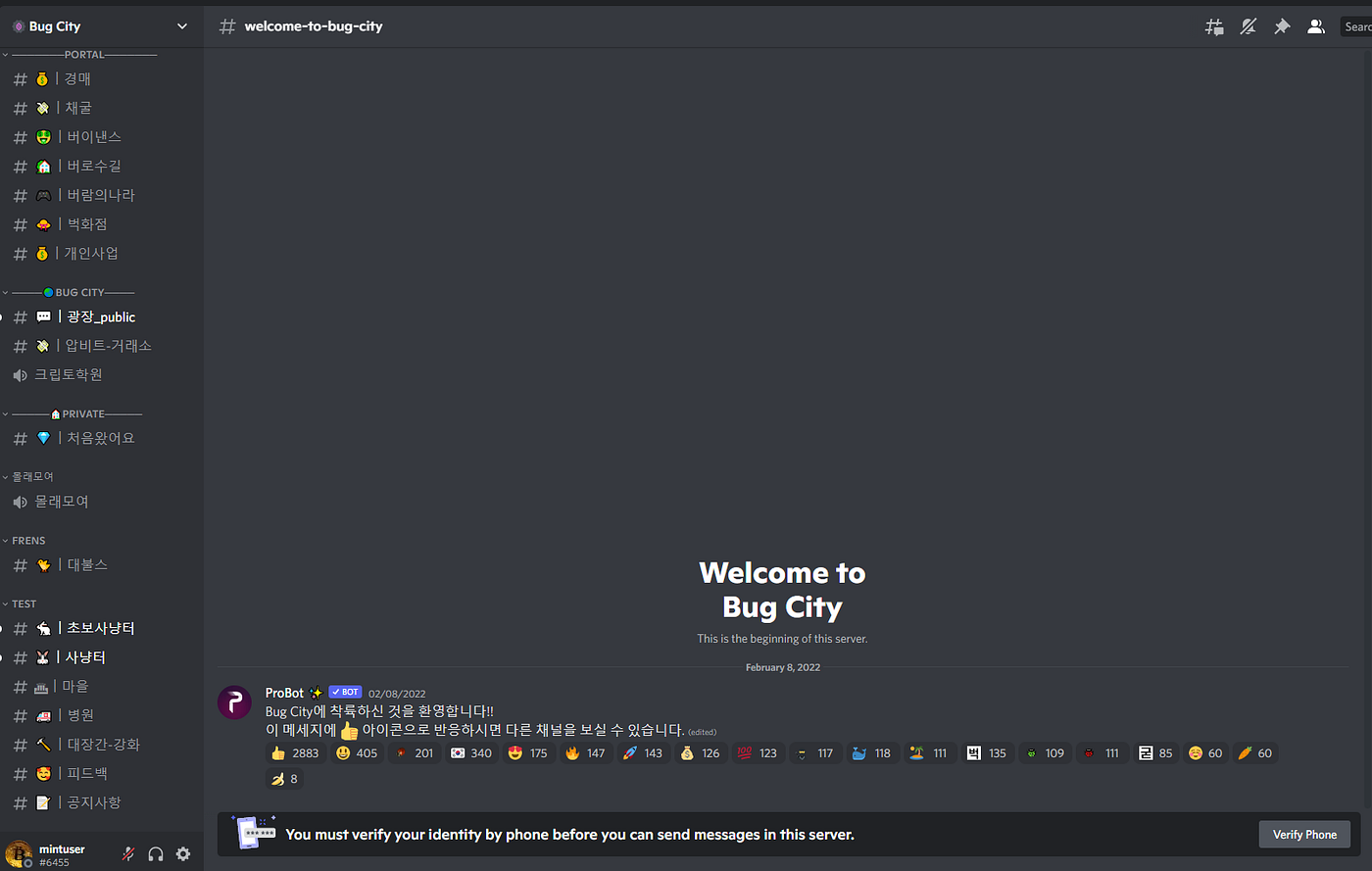 진짜 Discord 커뮤니티 만드는 법 feat. 버그시티. 디스코트를 해외 커뮤니티, 한국 커뮤니티 일원부터 모더레이터… | by  Jay Playco | Dogok Research | Medium