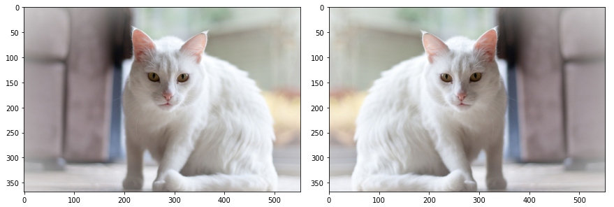 Do and don't when using transformation to improve CNN deep learning model |  by Chien Vu | Towards Data Science