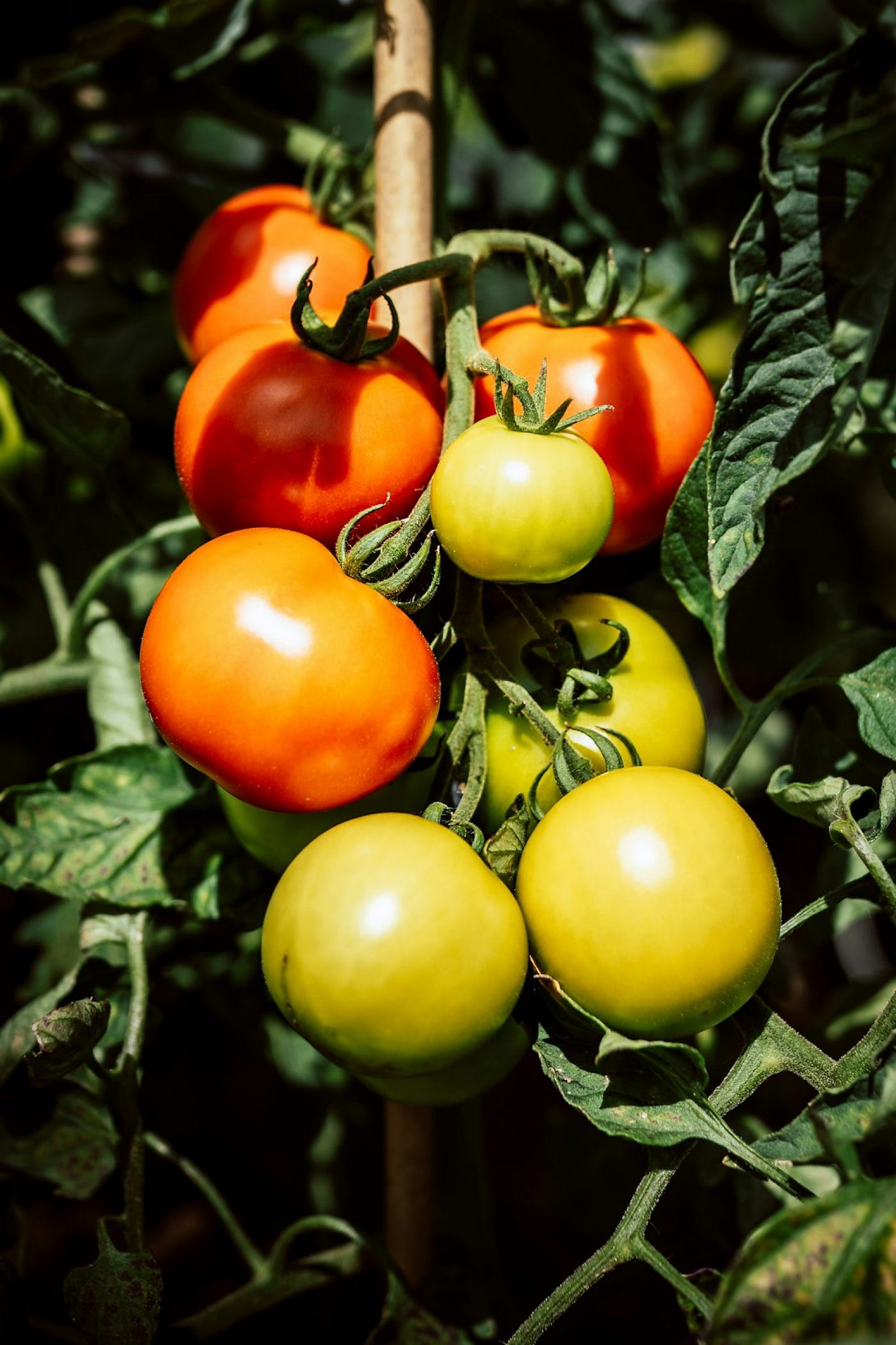 Photo by Justus Menke on Unsplash