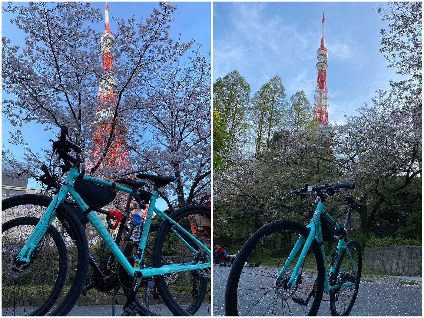 Our celeste Bianchi bikes perfectly matched with the Tokyo sakura.