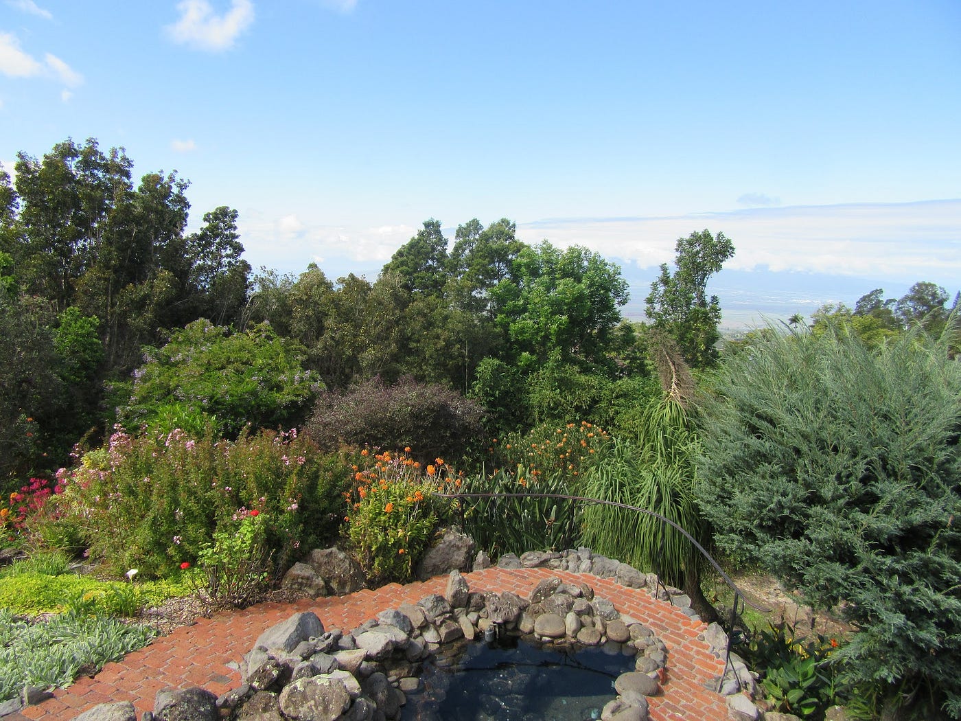 The Unusual Flora of Kula Botanical Gardens — Maui | by Carol