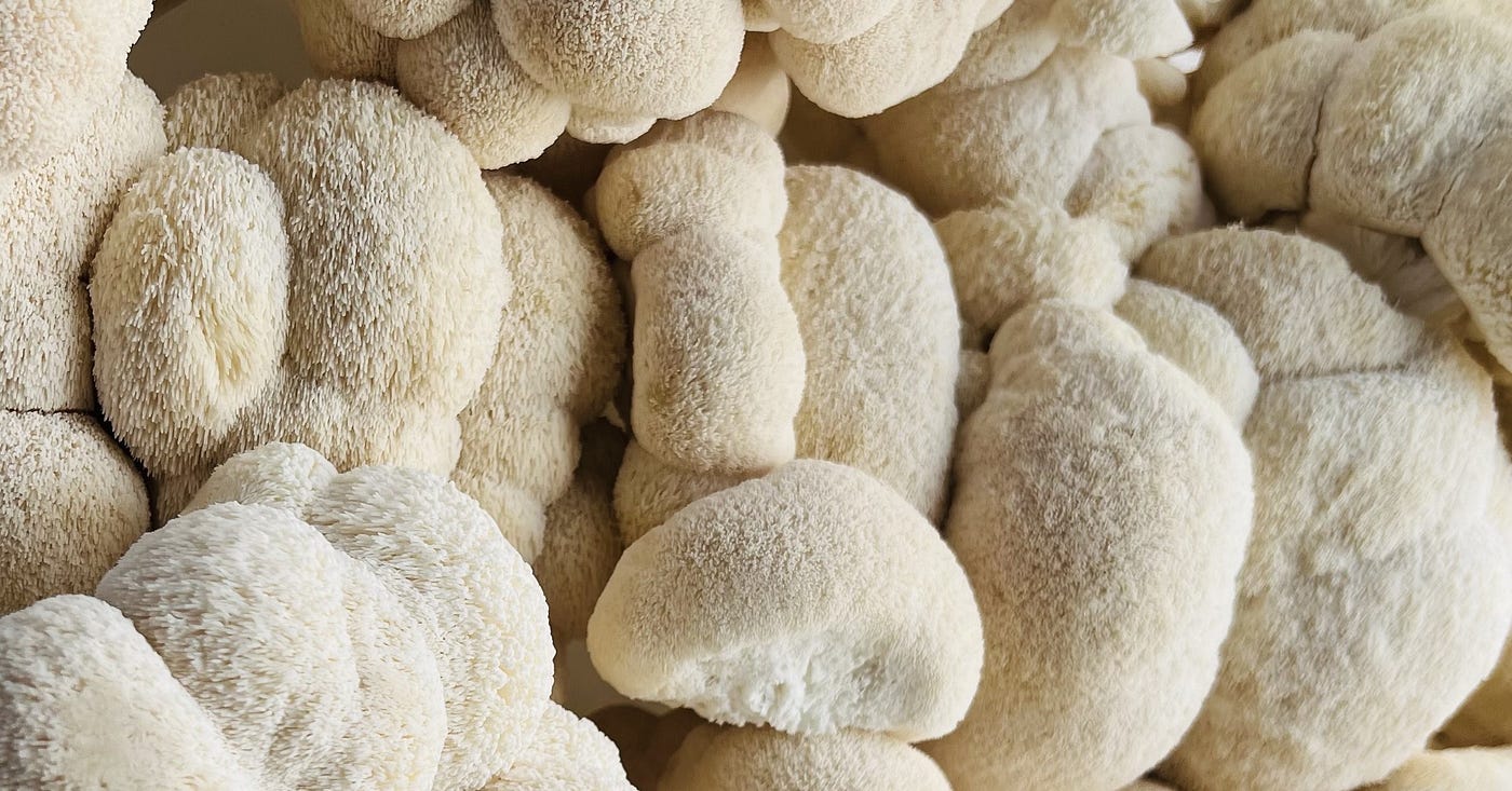 A Guide To The Health Benefits Of Shiitake Mushrooms - FreshCap Mushrooms