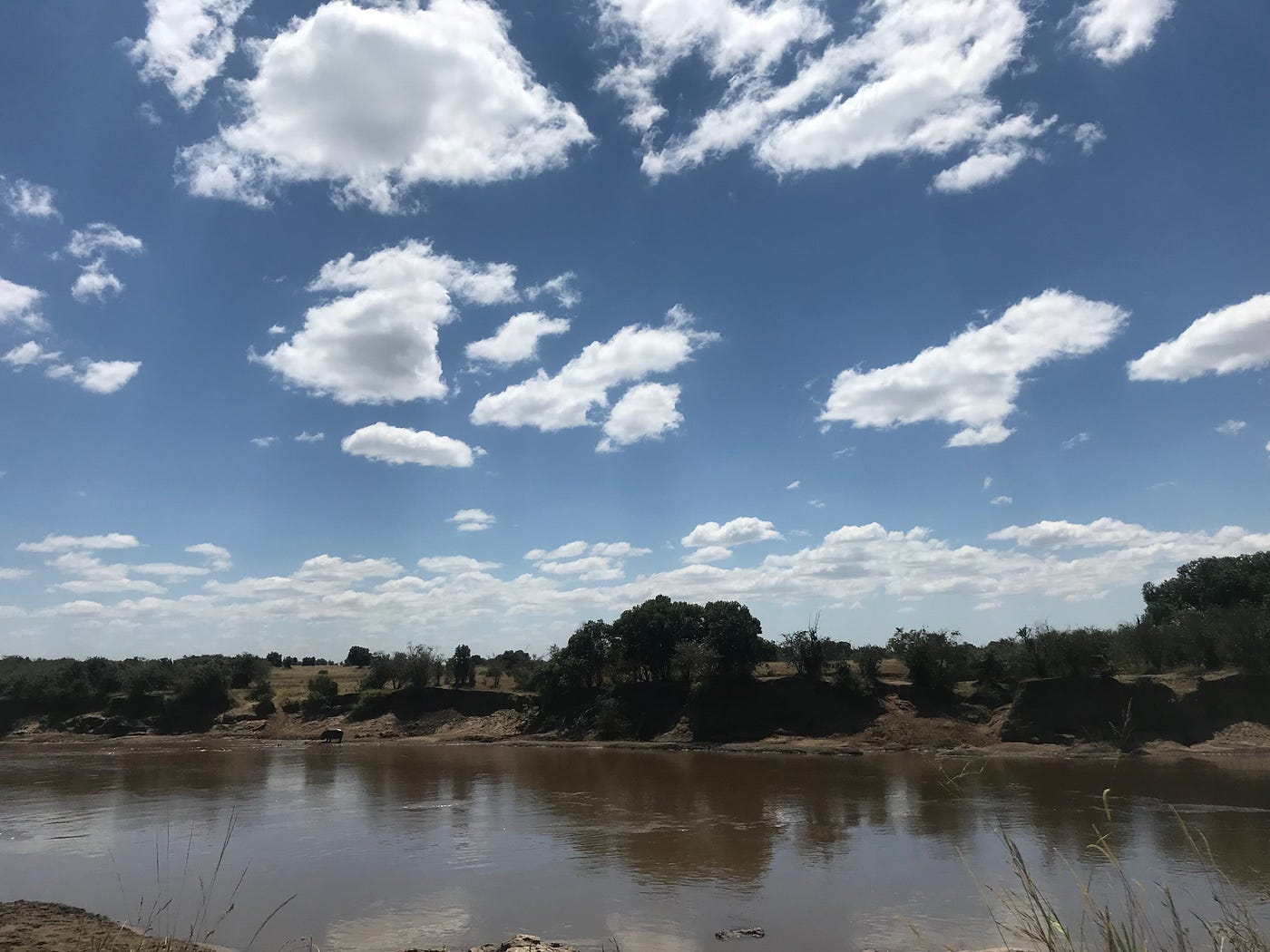 Integrated Environmental Management of Transboundary Transitional Resource