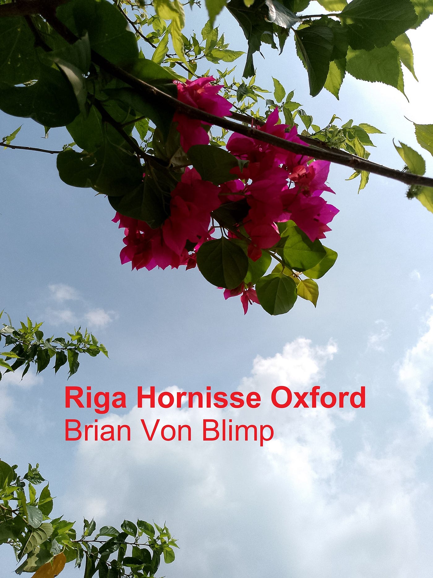 Riga Hornisse Oxford
Brian Von Blimp