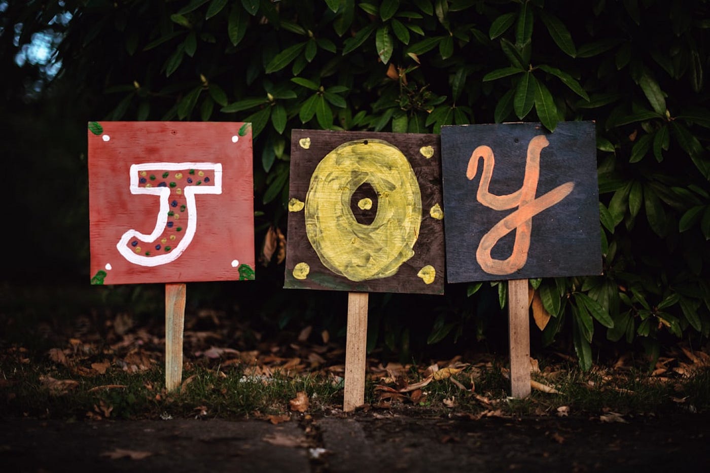 Photo by Tim Mossholder on Unsplash