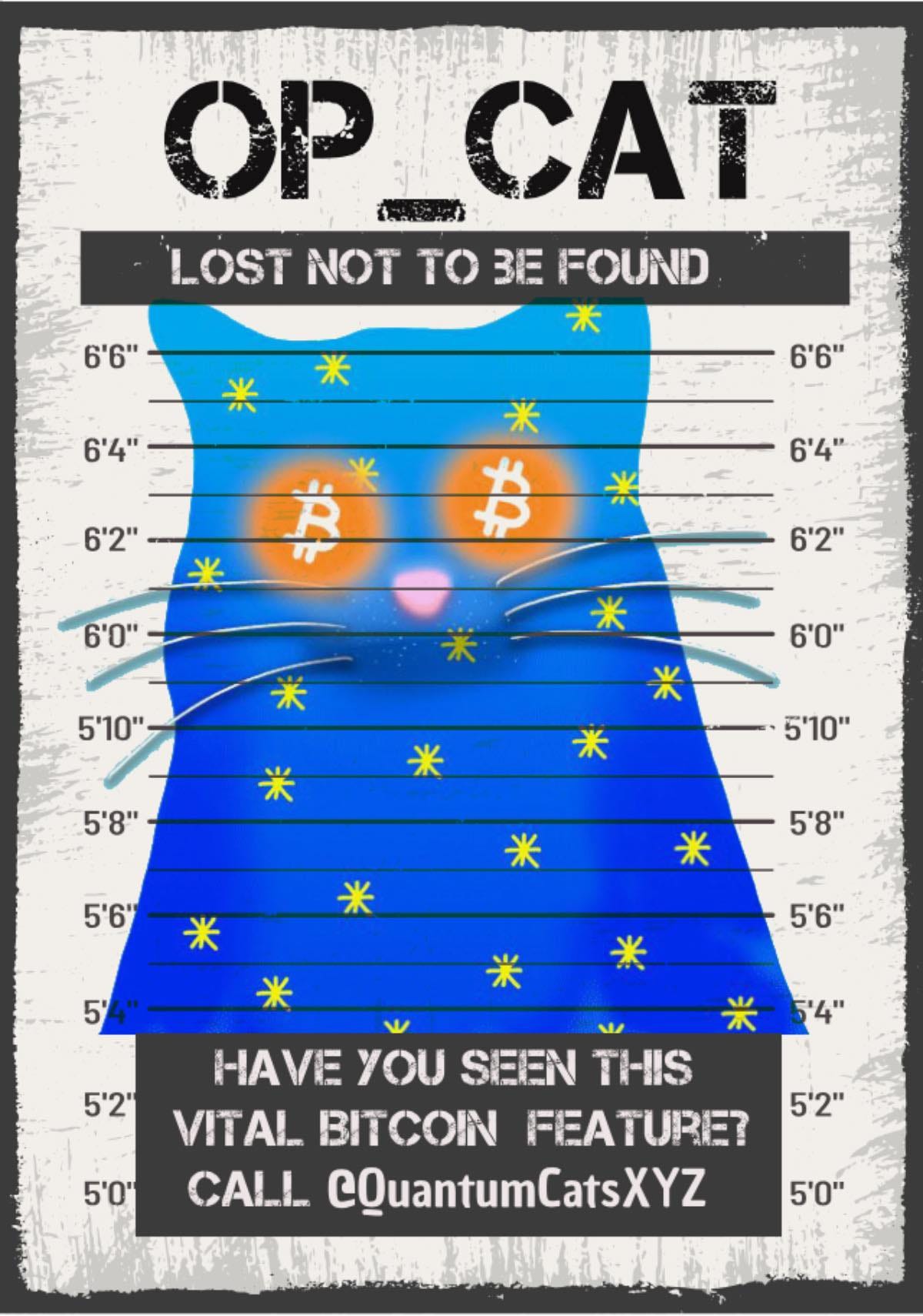 Understanding OP_CAT:making bitcoin amazing again | by Luna Ness | Medium