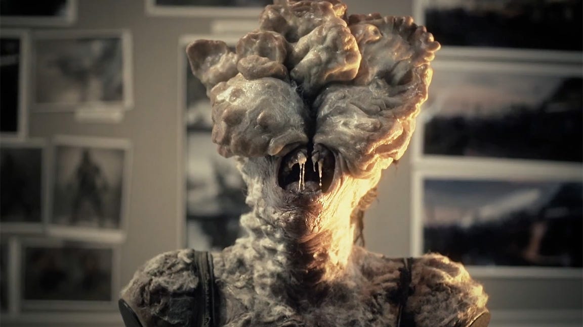 Fungo “zumbi” Cordyceps de The Last of Us pode infectar humanos