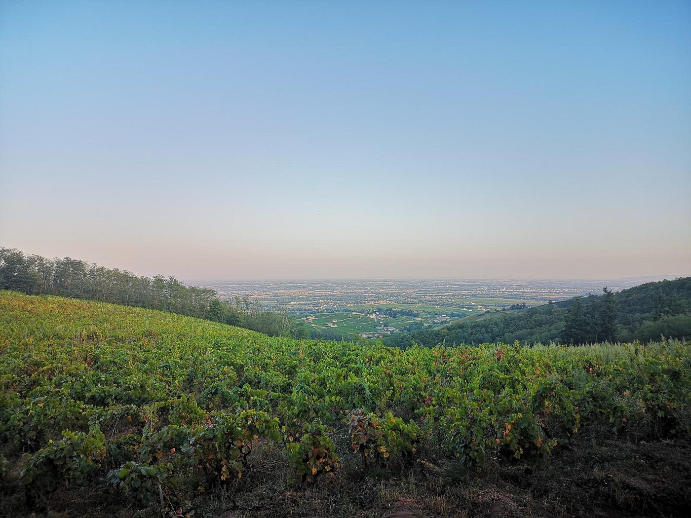 This is What I Wish More People Knew About These 5 Famous French Wine Regions