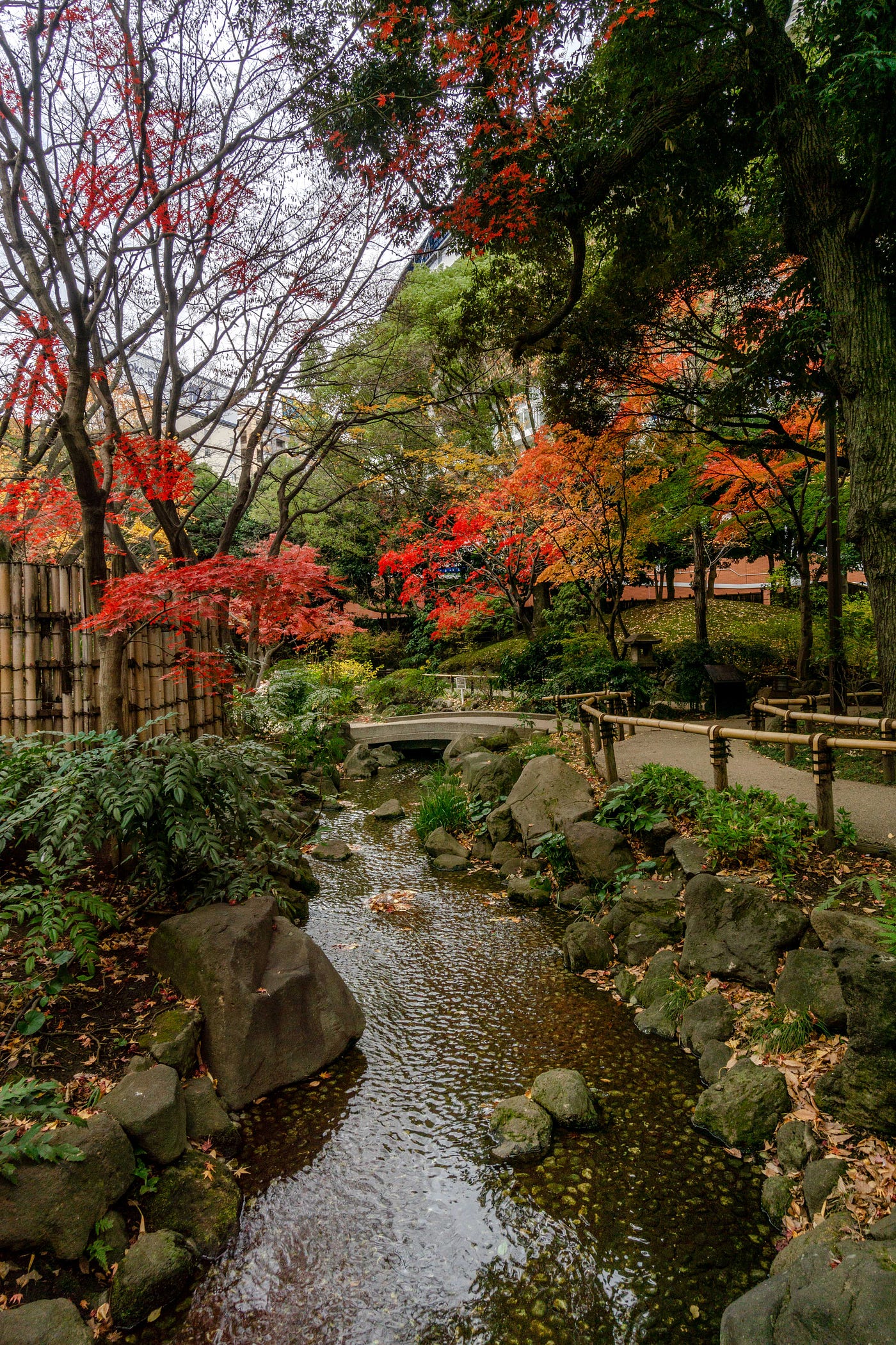 A Fantastic Garden Unheard of. Reasons to visit Yokohama | by