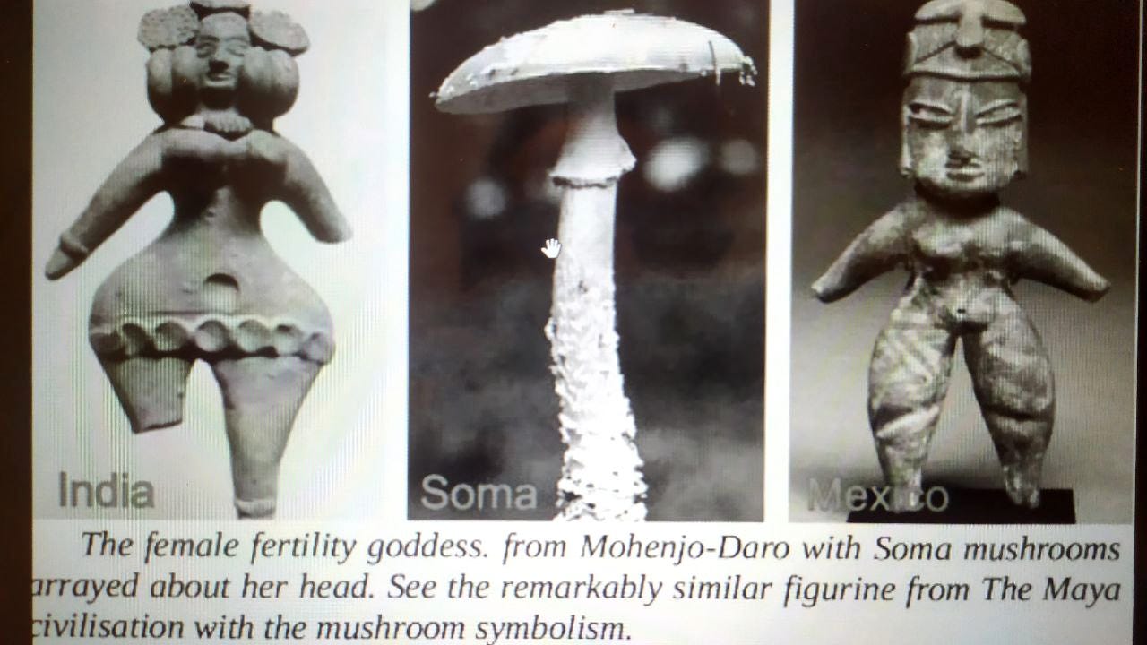 Harappan Civilization's Psychedelic Secret about Soma. Crown of
