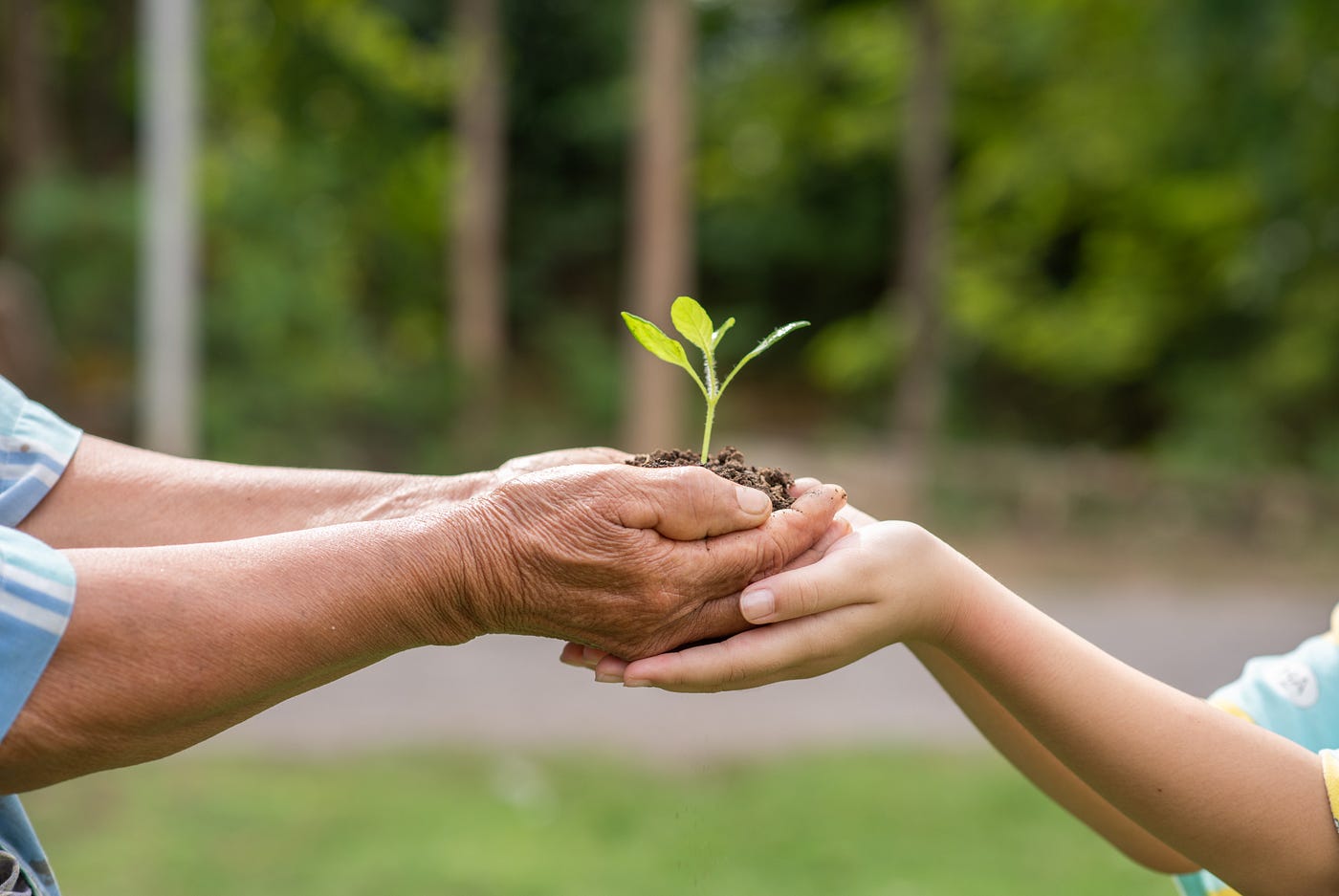 You Showed Up. But Are You Actually Making a Difference?