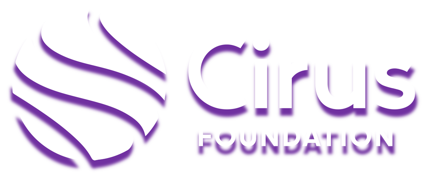 Cirus Web3 Wallet. Deep Dive into The World of Digital… | by JKL Group |  Medium