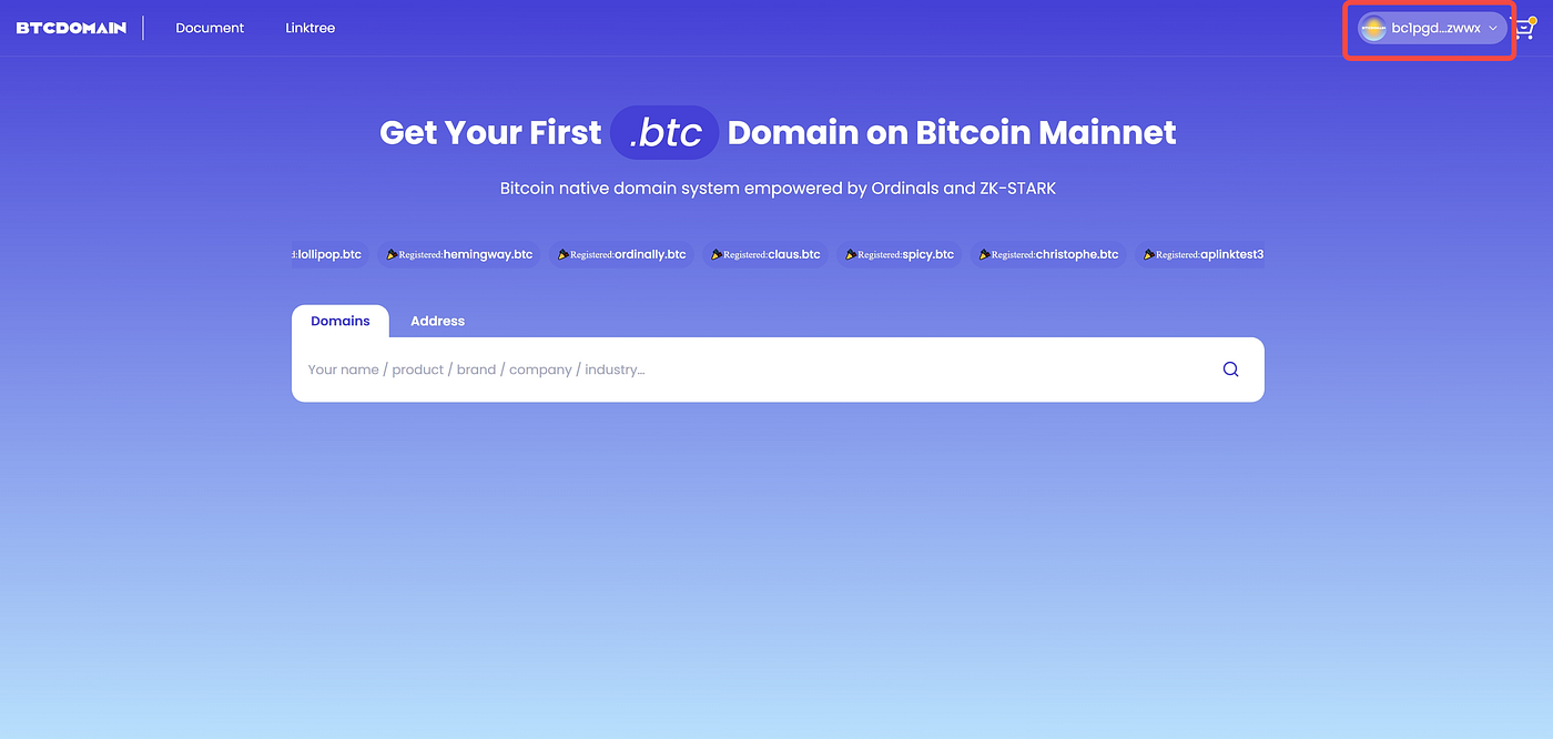 How to Inscribe Your .btc Domain. Registering a BTC domain is a… | by  BTCDOMAIN | Medium