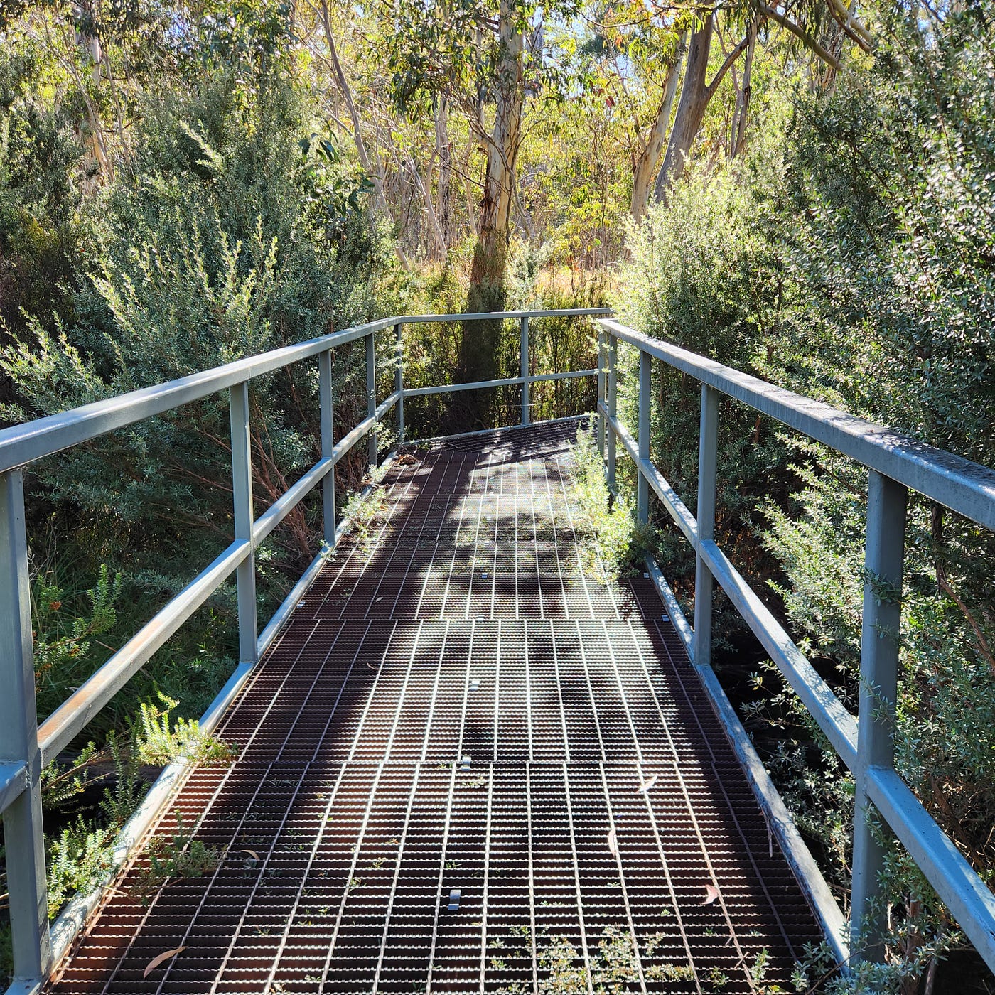 Cobweb with dew and bridge across Sawpit Creek