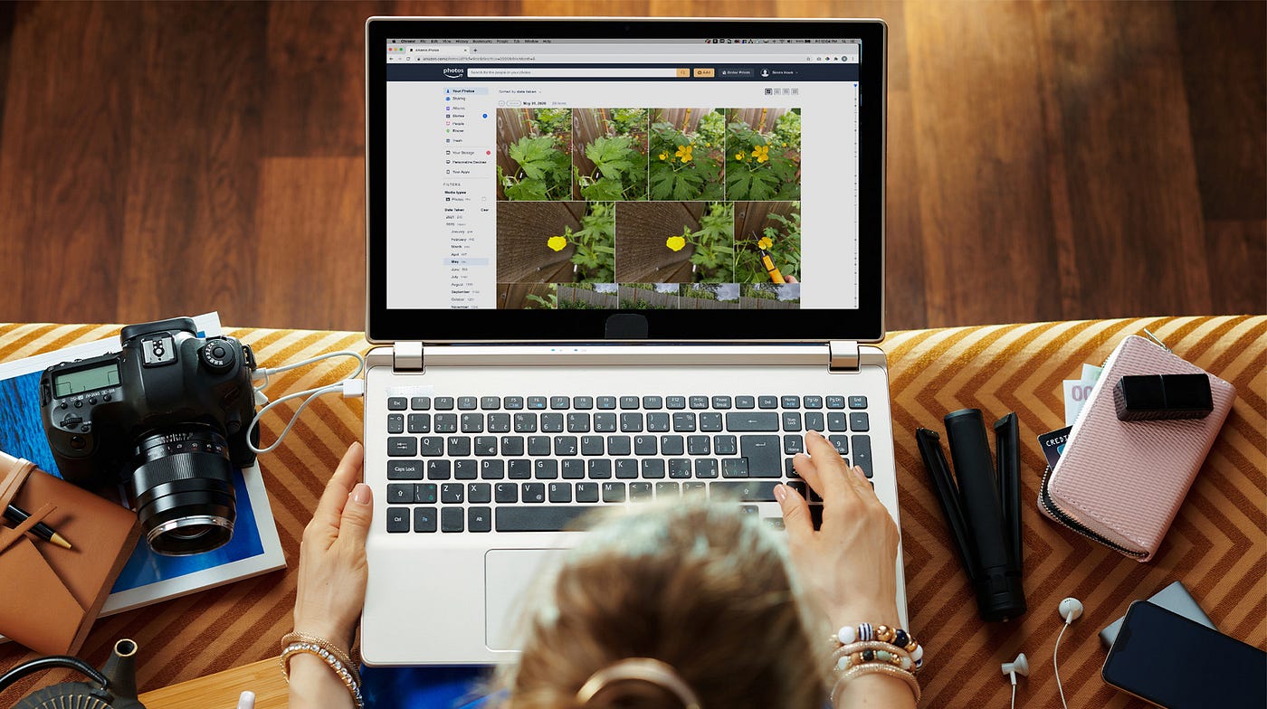 Get organized with Amazon Photos albums | by Amazon Photos | Medium