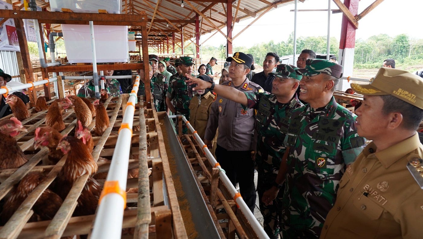 Program pertanian militer terpadu yang diberi nama MMIDF