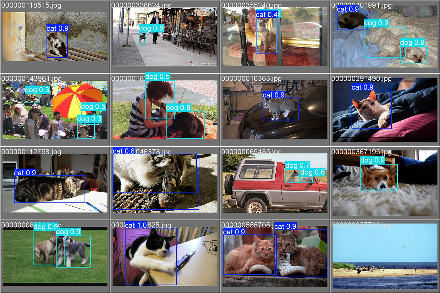 Training YOLOv11 object detector on a custom dataset | by
