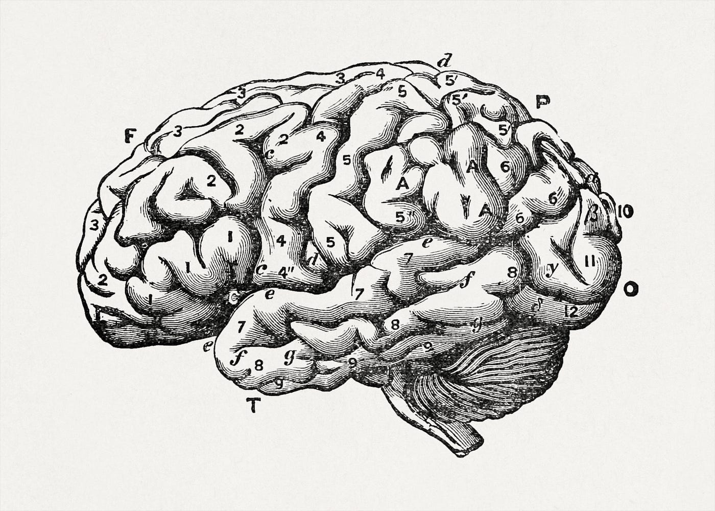 Koncept inteligence v historii a dnes