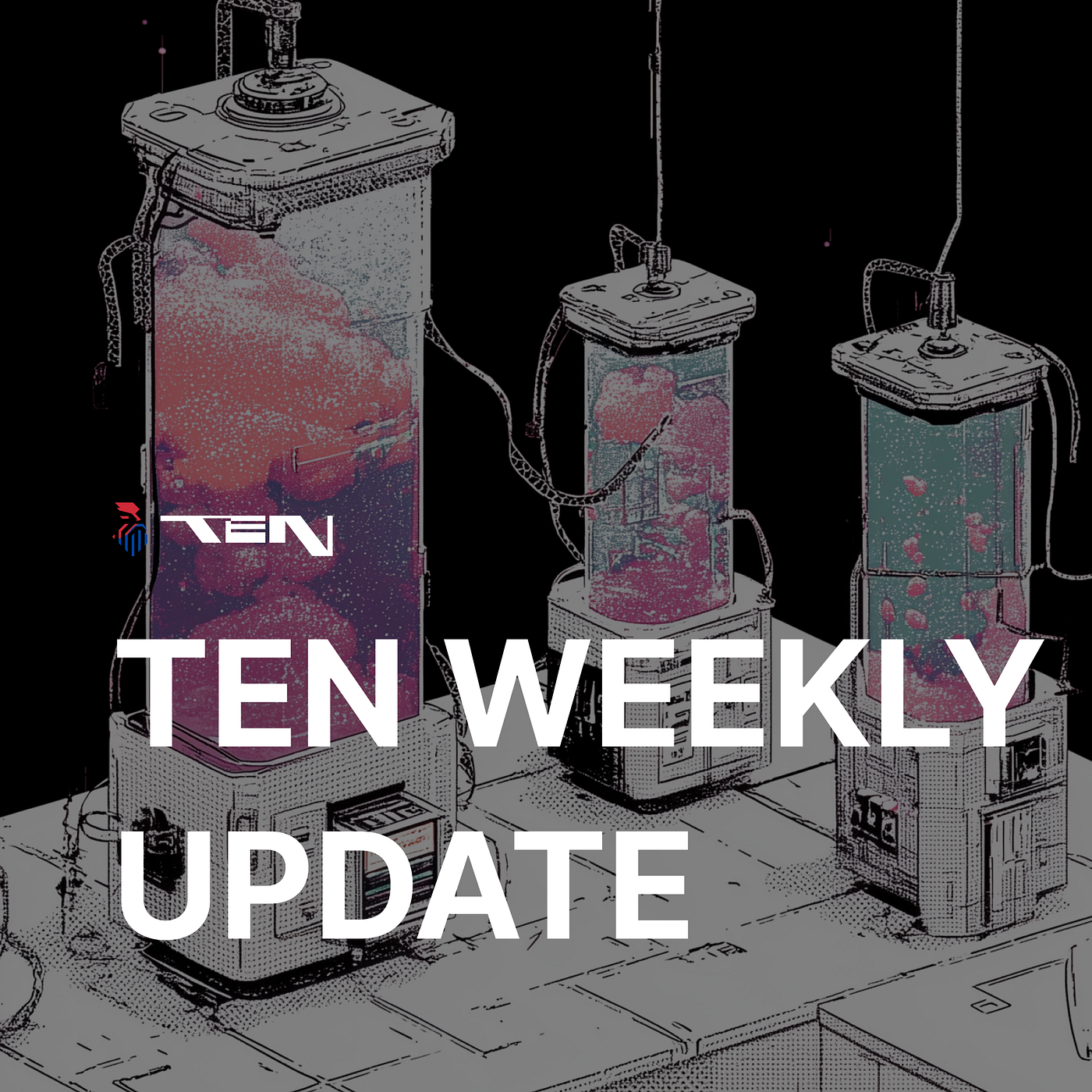 TEN Weekly Update (12월 11일)