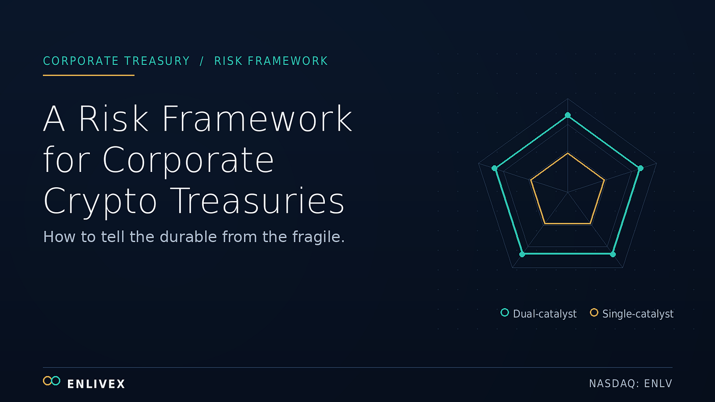 A Risk Framework for Corporate Crypto Treasuries: How to Tell the Durable From the Fragile
