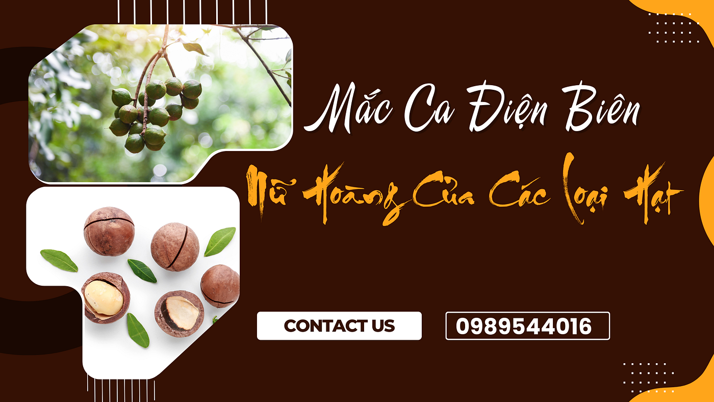 SONG AN TV REVIEW TOP 10 THƯƠNG HIỆU MẮC CA ĐIỆN BIÊN