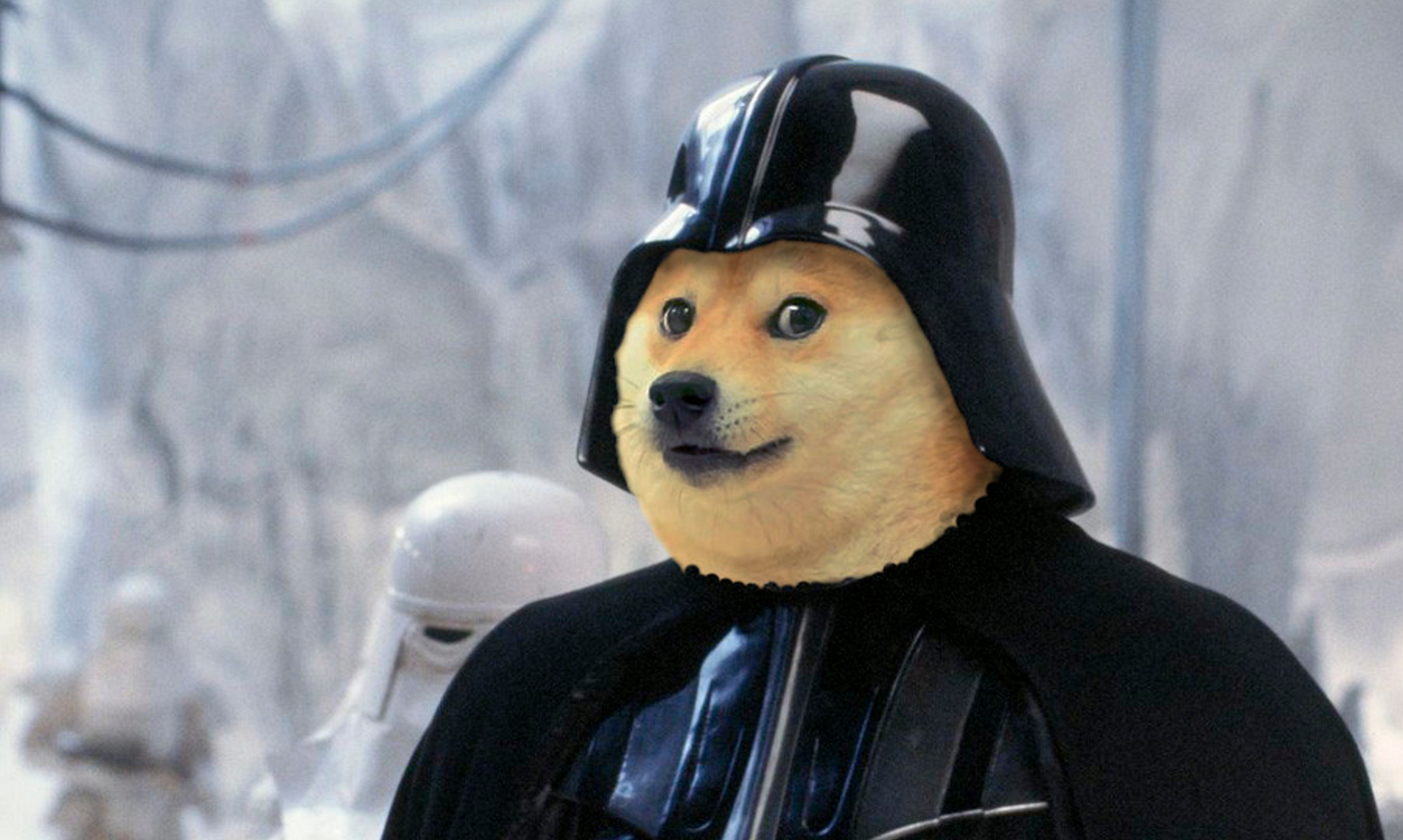 How to Recover Dogcoin Wallet Password | Medium