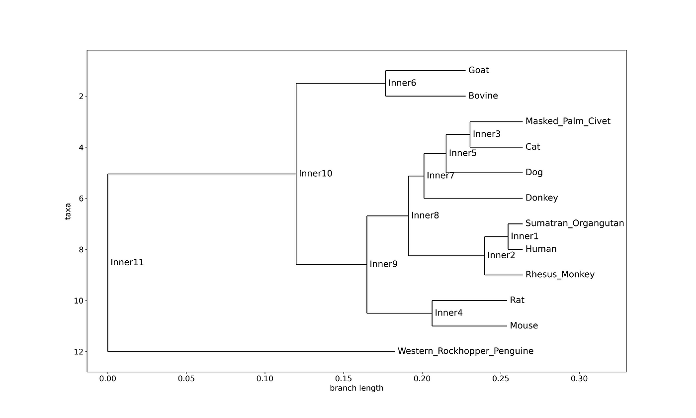 Phylogenetic tree constructed using EMA1 amino acid sequences generated